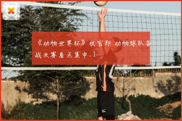 《动物世界杯》收官即 动物球队备战决赛看点集中_1