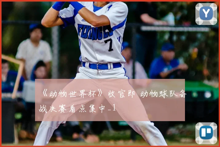 《动物世界杯》收官即 动物球队备战决赛看点集中_1